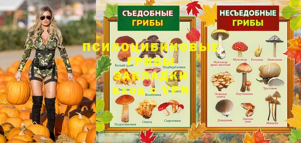 прущие грибы Алзамай