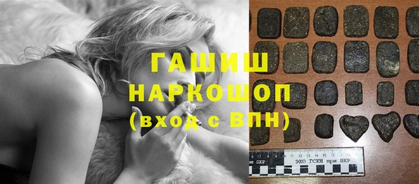 индика Дмитриев