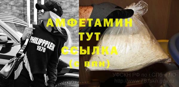 прущие грибы Алзамай