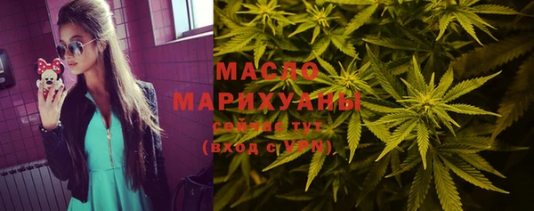 прущие грибы Алзамай