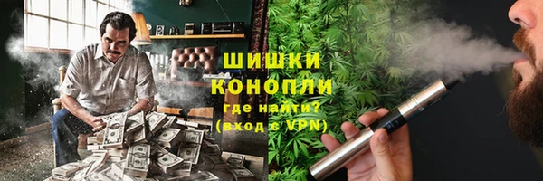 дмт Алексин