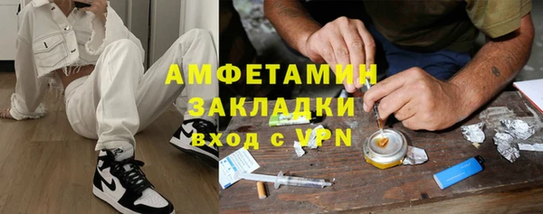 прущие грибы Алзамай