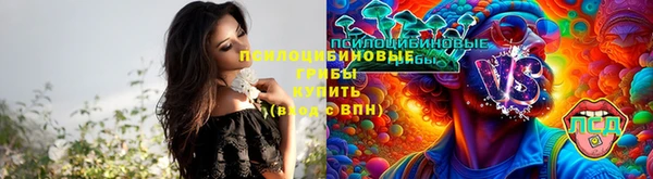MDMA Дмитровск