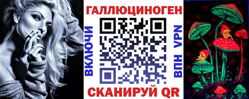 MEGA ССЫЛКА  Грайворон  Псилоцибиновые грибы Psilocybe  купить наркоту 